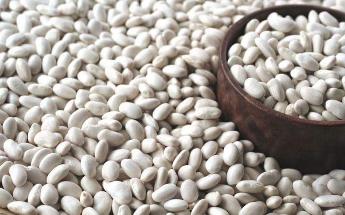 Posof fasulyesi coğrafi işaretini aldı