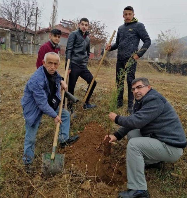 Doğanşehir’de ağaçlandırmaya ağırlık verilecek