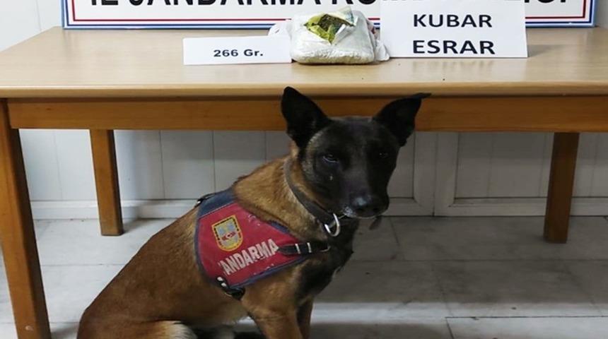 Cezaevinden izinli ayrıldı, d&ouml;n&uuml;şte uyuşturucu ile yakalandı