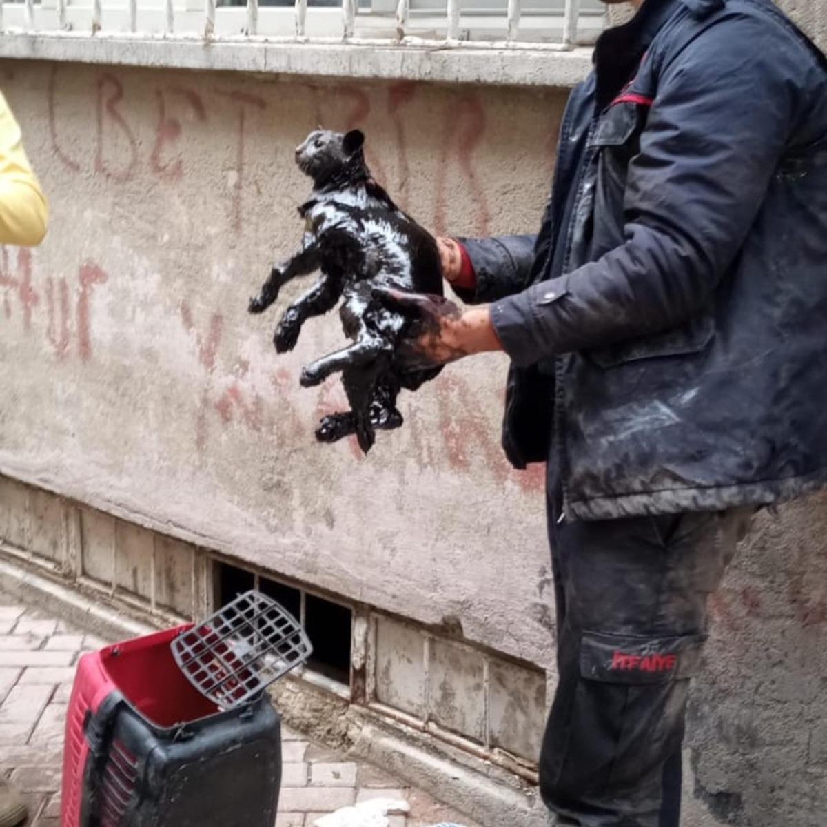 Yakıt tankına d&uuml;şen kedi kurtarıldı