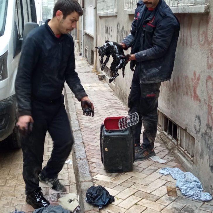 Yakıt tankına düşen kedi kurtarıldı G2