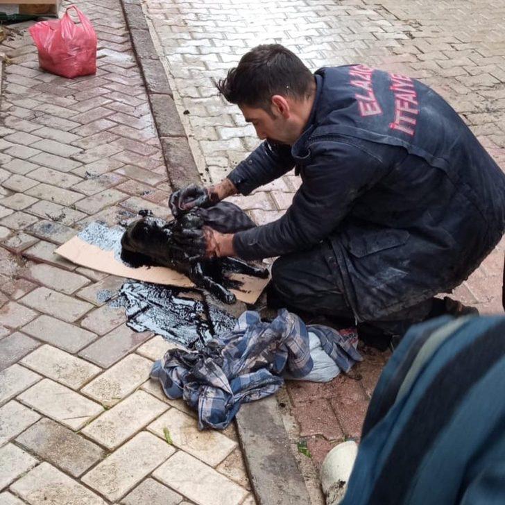 Yakıt tankına düşen kedi kurtarıldı G3