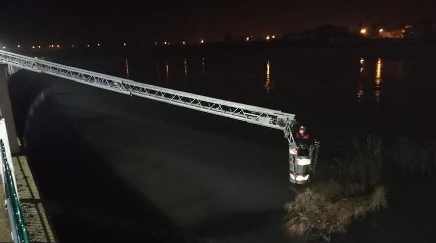 Osmancık’ta nehre düşen köpek kurtarıldı