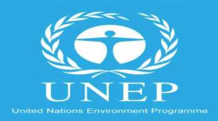 BM Çevre Programı: Dünya bu yüzyılda 3 dereceden fazla ısınmaya doğru gidiyor