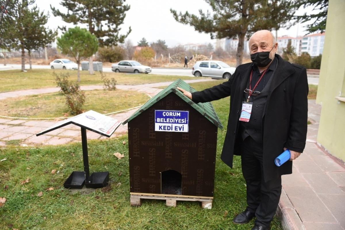 Başkan Aşğın sokağın hayvanlarına sahip &ccedil;ıktı