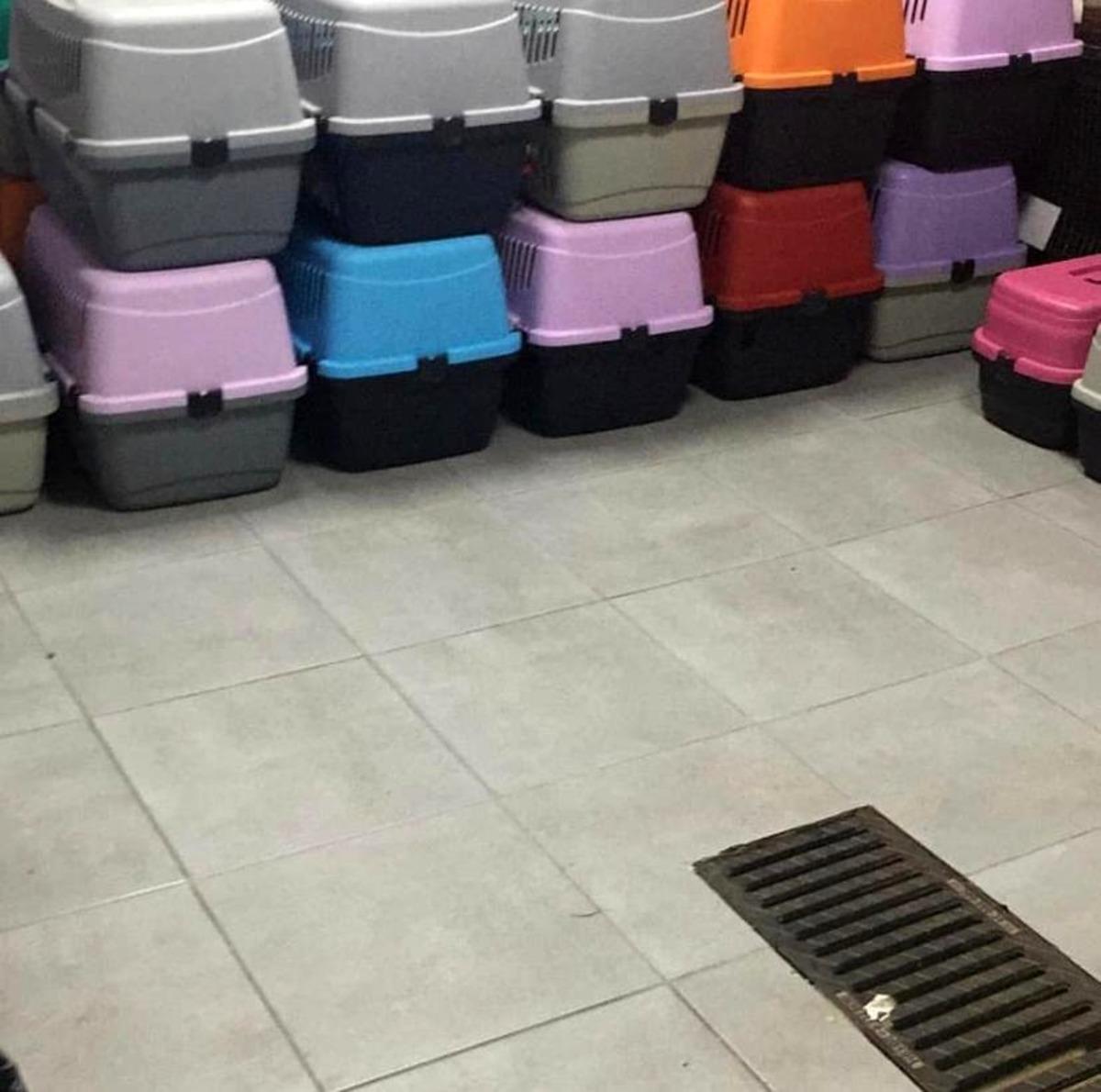 Şişli&rsquo;de baskın yapılan adreste 9&rsquo;u yavru 57 kedi bulundu