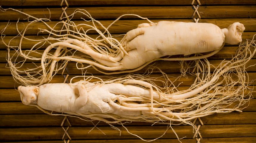 Çin'de 5 bin yıldır kullanılıyor! Tozu da kökü de şifa veriyor