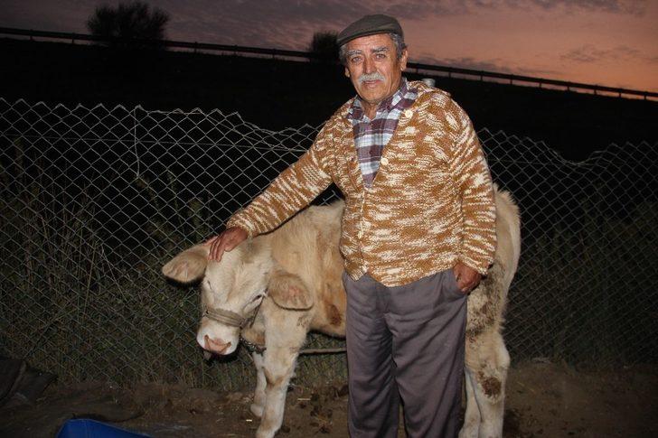 Korona virüs, yaşamlarını değiştirdi G2