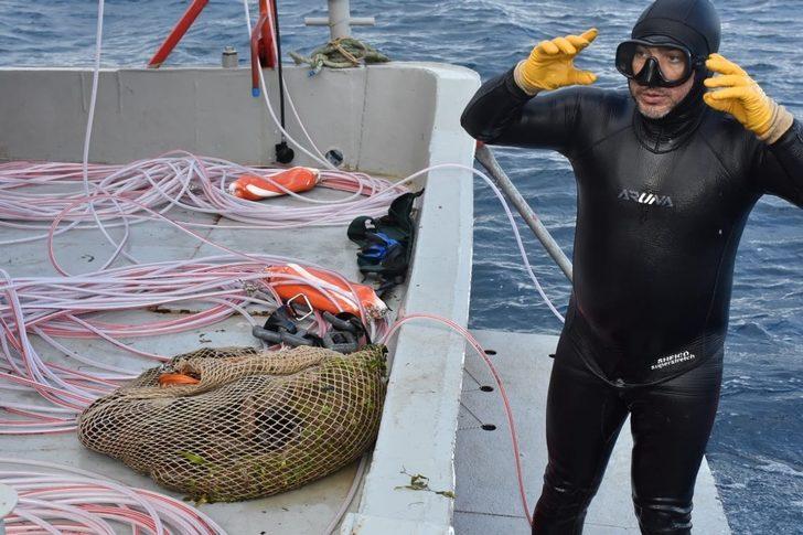 Deniz patlıcanında kota 40 kilo G3