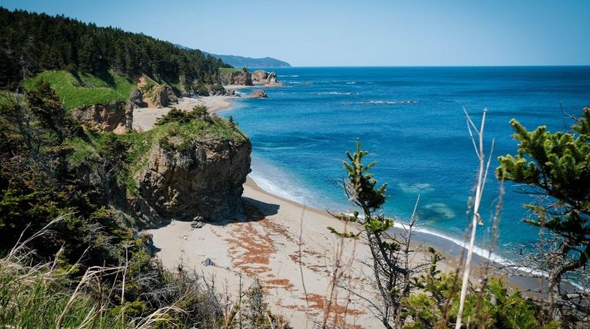Rusya'daki Sahalin Adası'na giden turistlere para &ouml;denecek