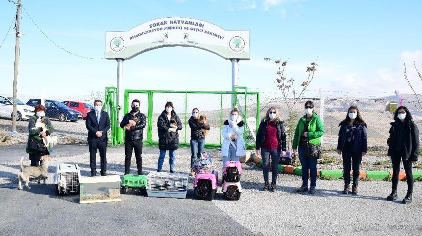 Başkent’te petshoplara yapılan baskında 21 hayvana el konuldu