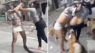 Sokak köpeği kavga eden kadının pantolonunu aşağı indirdi