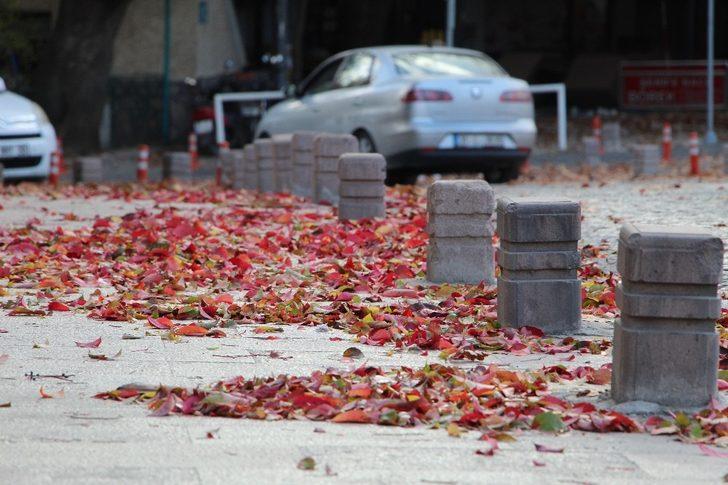 Sessiz sonbahar görsel şölen oluşturdu G1