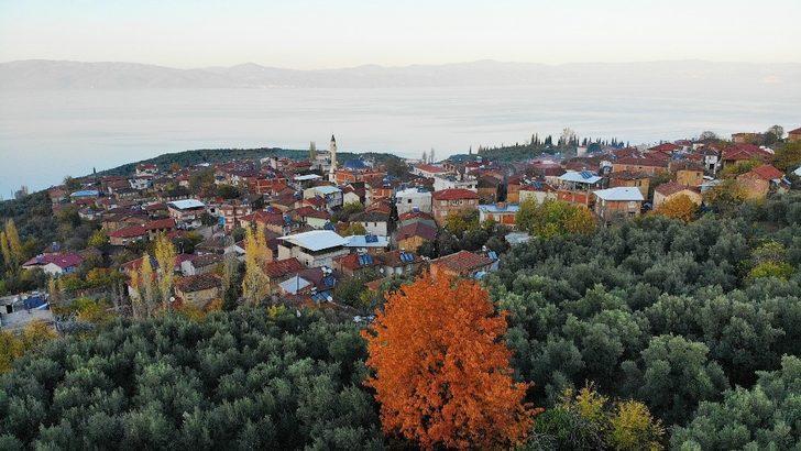 Bursa’da kadınlar geçimlerini asırlık gelenek iğne oyası ile kazanıyor G3