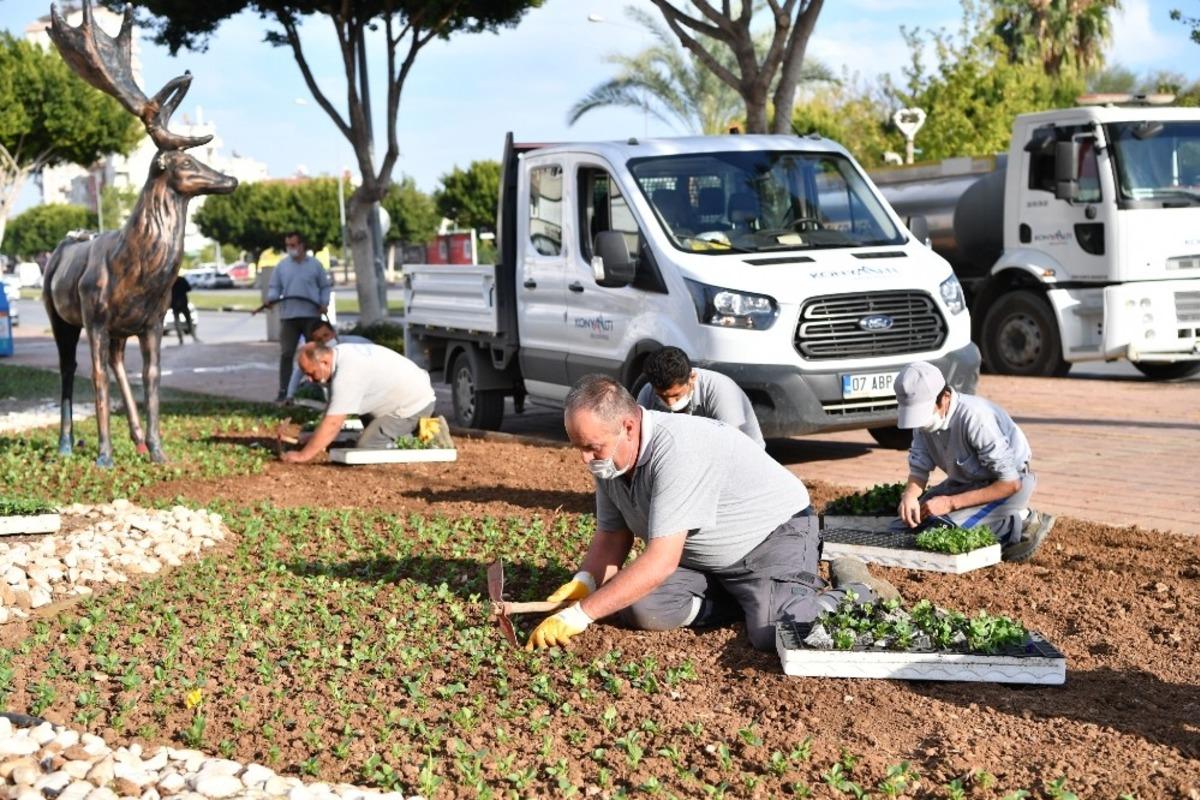 Konyaaltı, 155 bin mevsimlik bitkiyle s&uuml;slendi