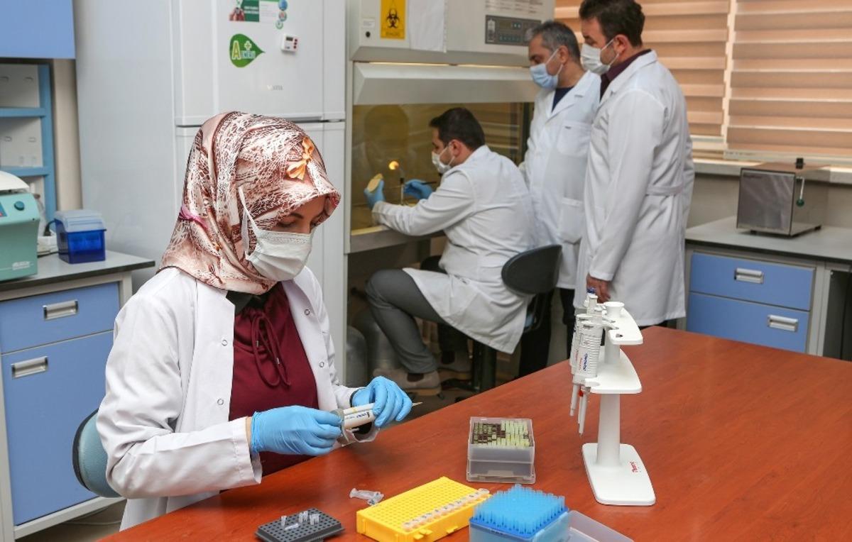 Yeni bakteri cinsi ve t&uuml;r&uuml; keşfedildi