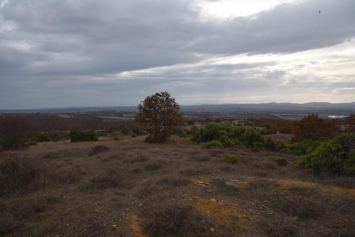 Edirne'de kurulacak OSB'nin b&ouml;lgenin "gıda &uuml;retim &uuml;ss&uuml;" olması hedefleniyor