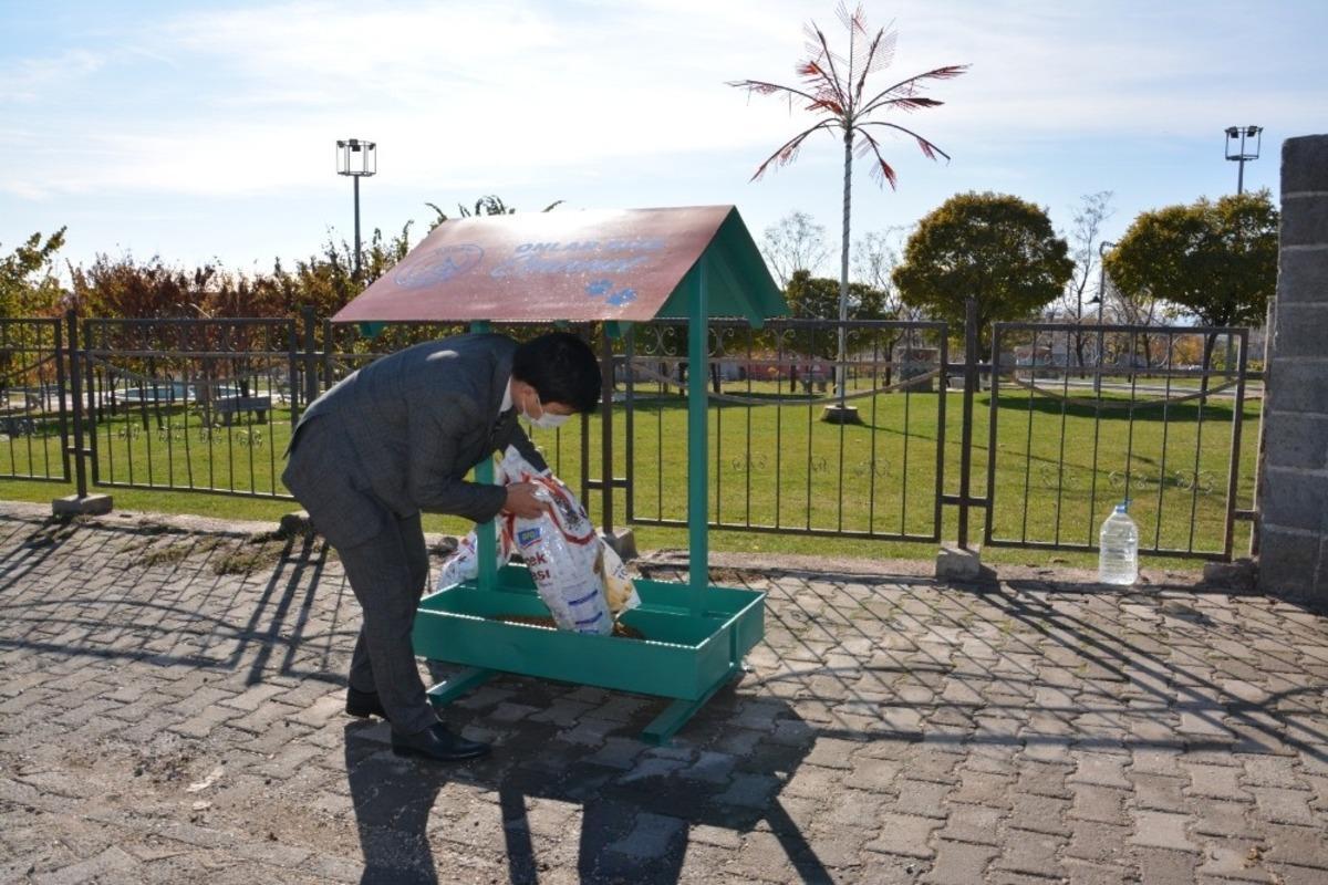 Ergani Belediyesi sokak hayvanlarını yalnız bırakmadı