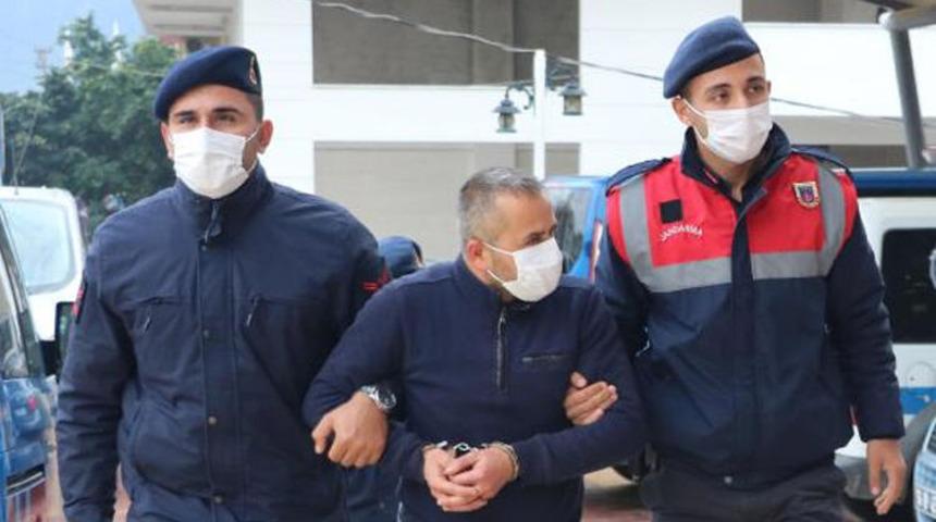 Avokado hırsızı yakalandı! Tam 260 bin TL...