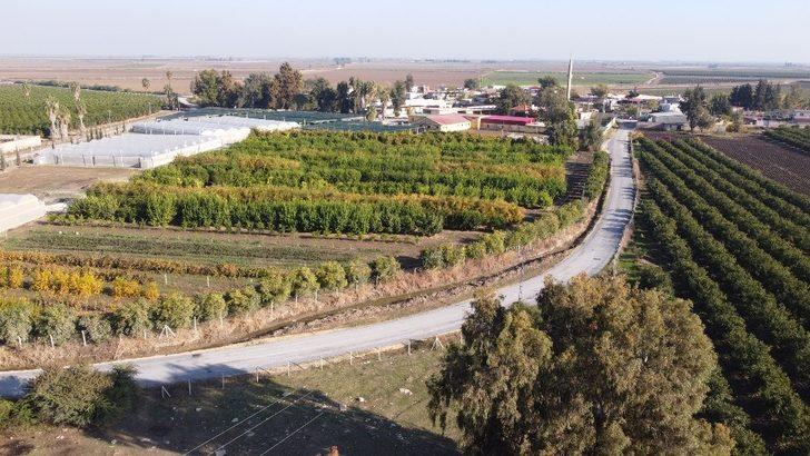 Başkan Bozdoğan: “Asfaltlama çalışmalarımız hız kesmeden devam ediyor” G4