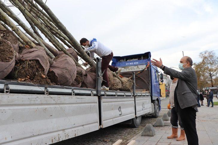 Akçakoca Belediyesi daha yeşil bir ilçe için çalışıyor G1