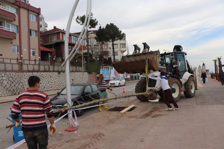 Akçakoca Belediyesi daha yeşil bir ilçe için çalışıyor G4