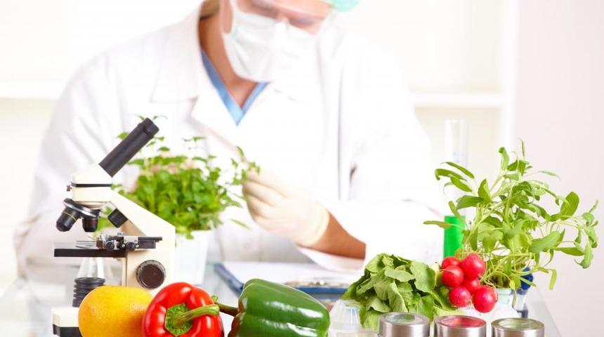 Yakın Bir Gelecekte Hepimizin Yiyeceği 9 Yiyecek