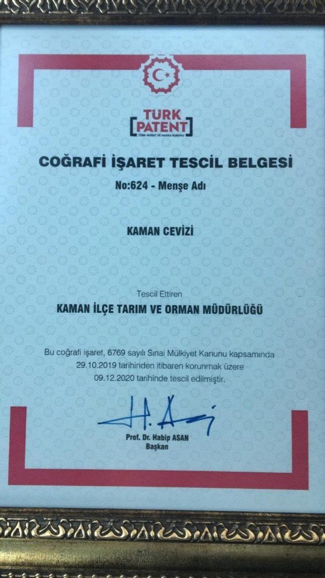 Kaman Cevizine, coğrafi işaret alındı