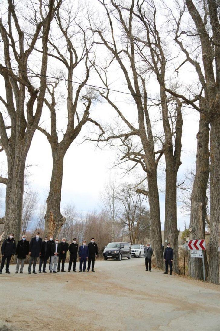 ’Gazi Ağaç’lar 370 yaşında G3