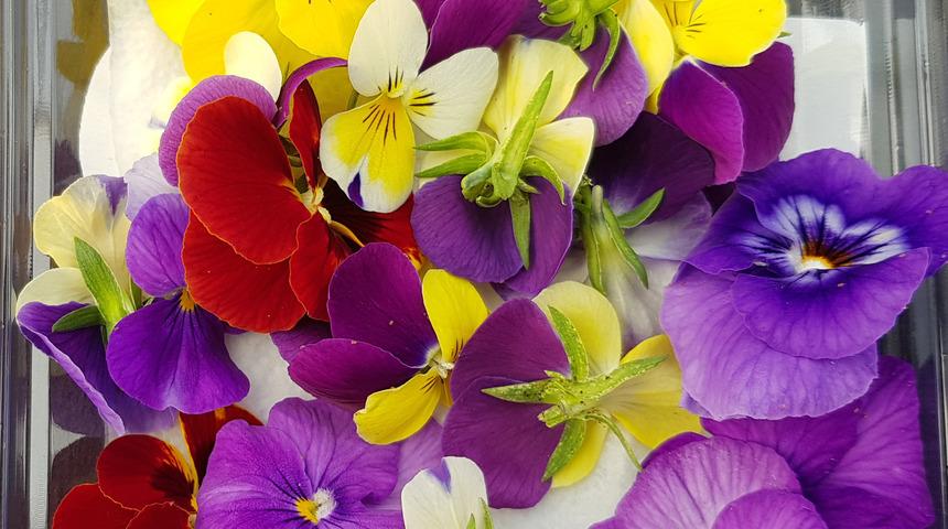 Şeflerin son dokunuşu: Yenilebilir çiçekler ham tatlı hem de tuzlu yemeklerde kullanılıyor