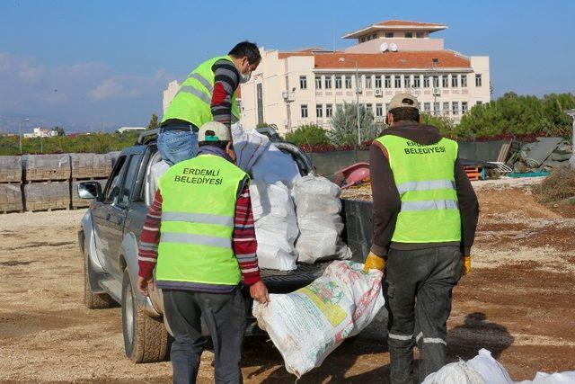 Budamadan elde edilen odunlar, ihtiyaç sahiplerine ulaştırılıyor