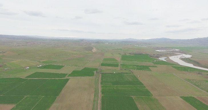 Sivas’ta 1 yılda 19 bin 242 hektar alan tapulaştırıldı G1