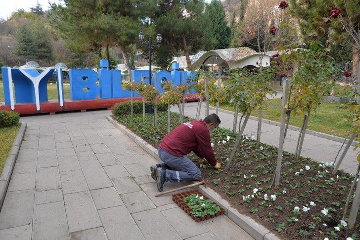 Peyzaj çalışmalarıyla Bilecik güzelleştiriyoruz G2