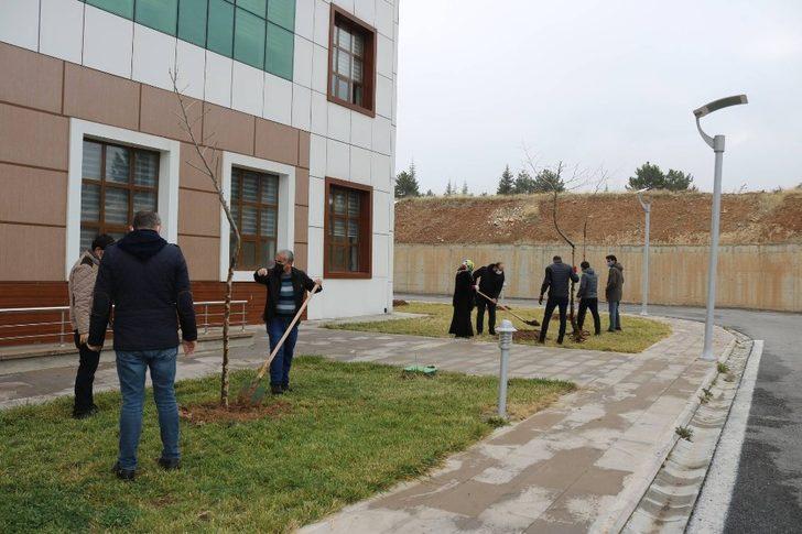 İletişimciler de fidan kampanyasına katıldı G2