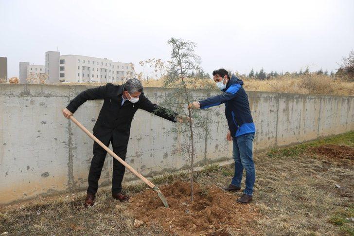 İletişimciler de fidan kampanyasına katıldı G3