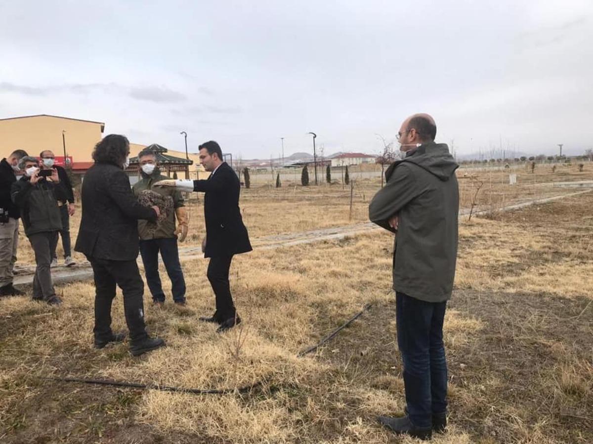 Tedavileri tamamlanan kuşlar &ouml;zg&uuml;rl&uuml;ğ&uuml;ne kavuştu