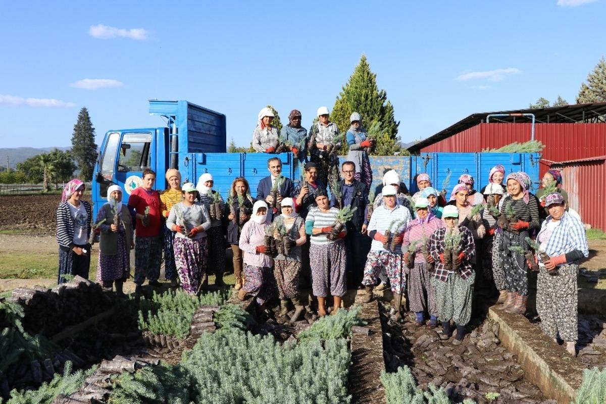 Muğla OBM&rsquo;de 9,8 Milyon fidan &uuml;retildi