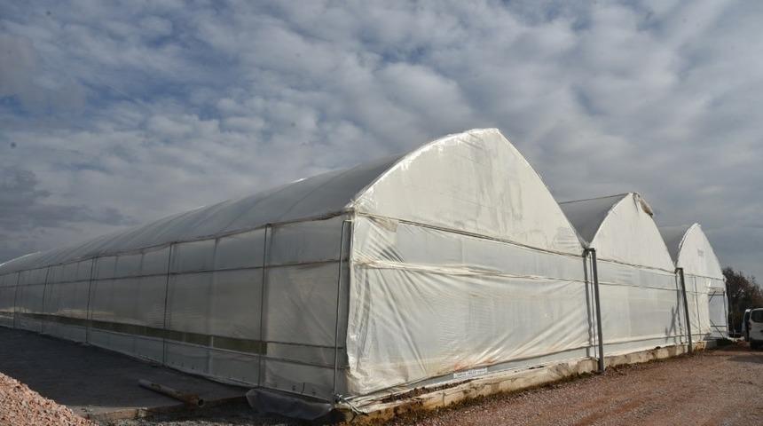 İzmit parklarında &ccedil;ocuklar oyun oynarken dalından meyve yiyecek