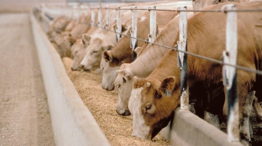 Talas&rsquo;tan &ccedil;ift&ccedil;ilere uzaktan eğitim