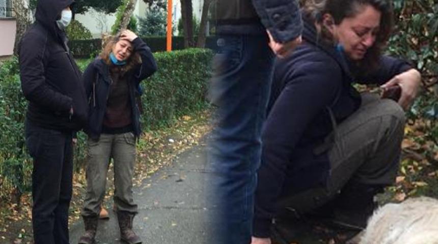 'Sokak köpekleri uyuşturucu iğneyle telef edildi' iddiası! Gözyaşlarına boğuldular