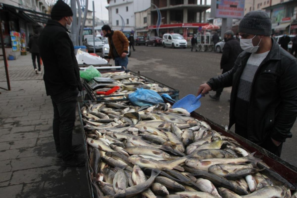 Malazgirt&rsquo;te balık bereketi