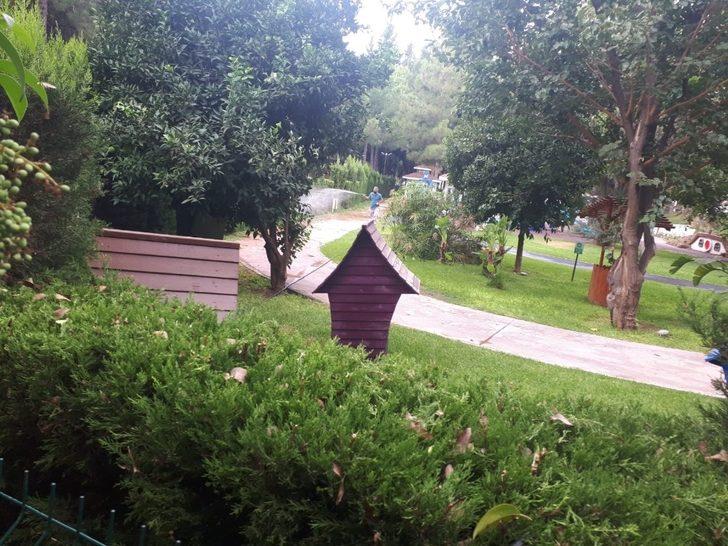 Kepez’de yeşil alanların bakımı yapıldı G2