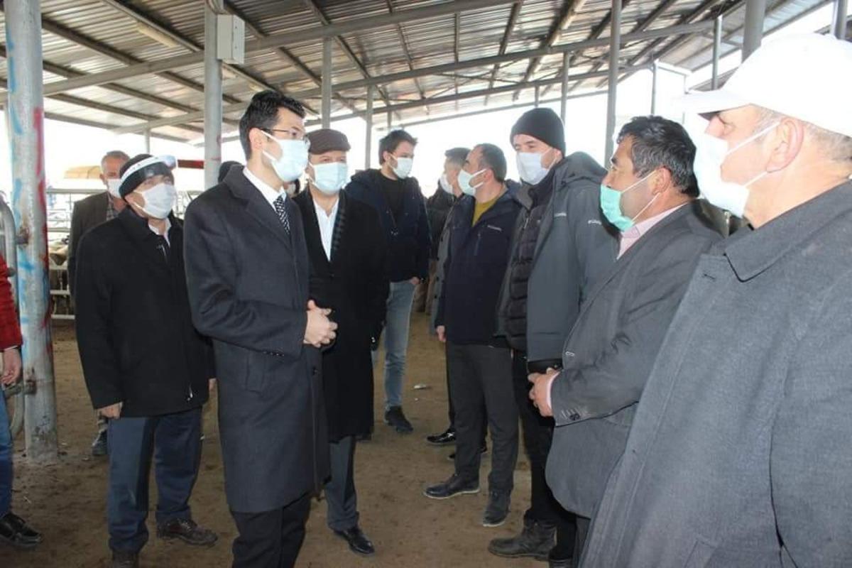 Canlı hayvan pazarında korona denetimi