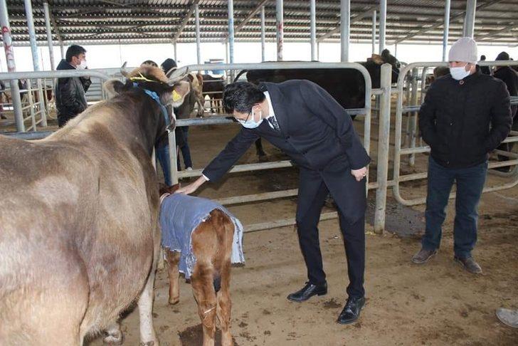 Canlı hayvan pazarında korona denetimi G2