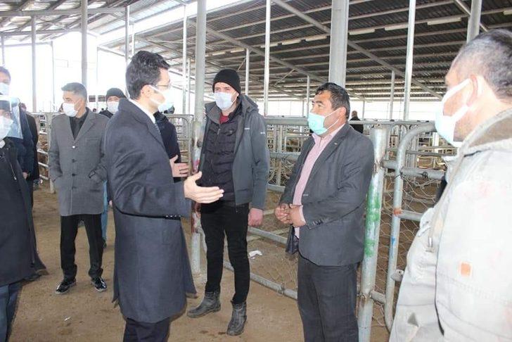 Canlı hayvan pazarında korona denetimi G3