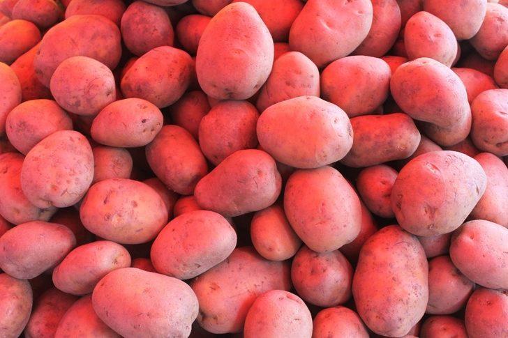 Kısıtlama öncesi pazarlar durgun G5