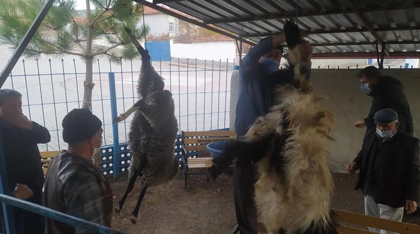 Kurban kesip yağmur duasına çıktılar