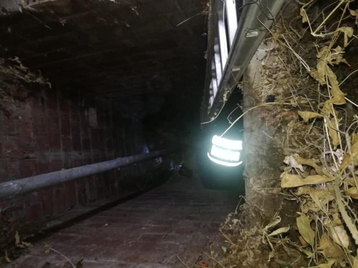 Su kuyusuna d&uuml;şen yavru k&ouml;pekler kurtarıldı