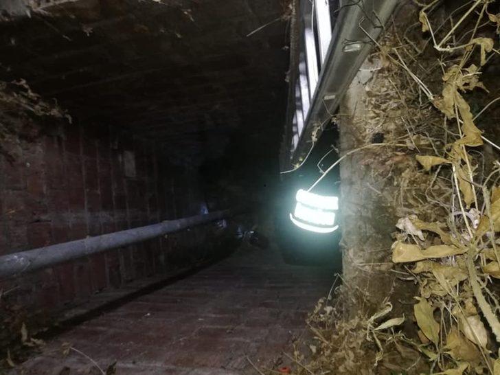 Su kuyusuna düşen yavru köpekler kurtarıldı G1