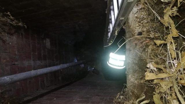 Su kuyusuna düşen yavru köpekler kurtarıldı